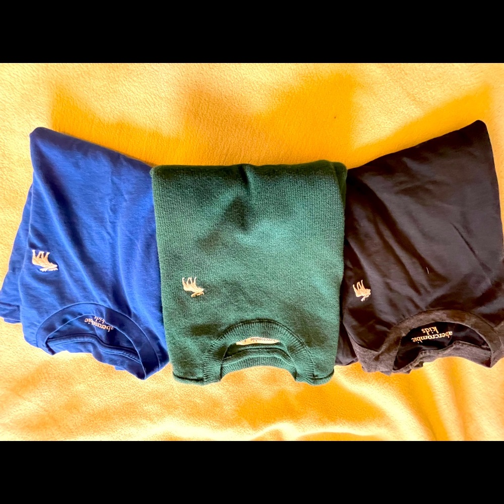 Boys Abercrombie & Fitch shirts.  1 sweater 2 long sleeve t-shirts